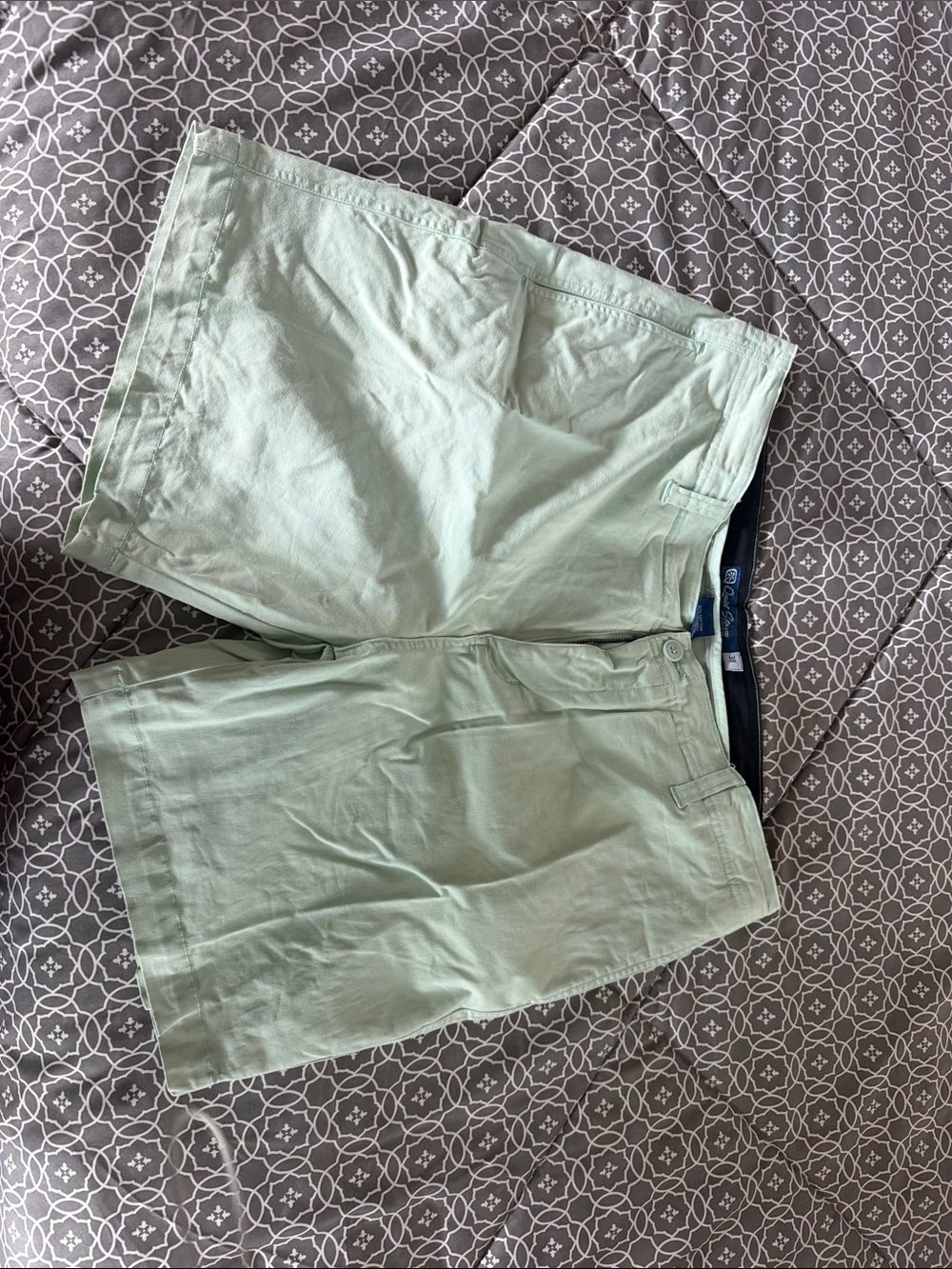 Quiet Storm Men's Mint Green Flat Front Chino Shorts